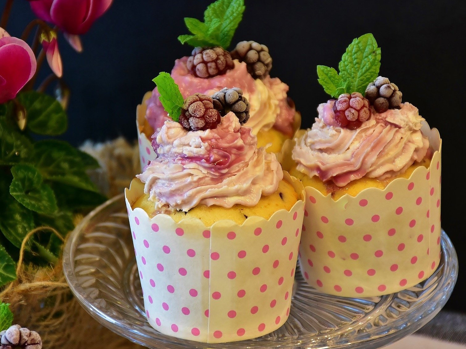 cupcakes